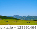 平戸市川内峠からの眺望54 125991464