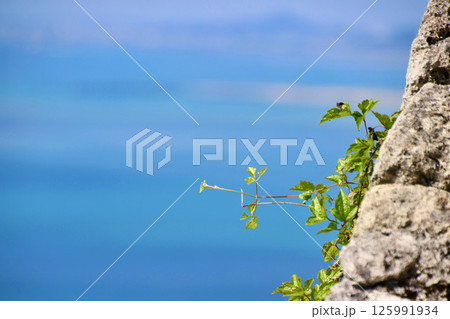 勝連城跡からの眺め・西方面（沖縄県・うるま市） 125991934