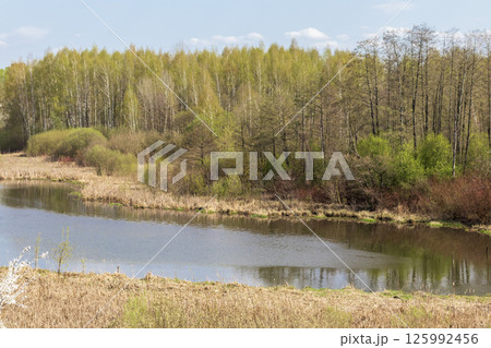 Landscape shot of the river among the blooming trees Landscape shot of the river among the blooming trees 125992456