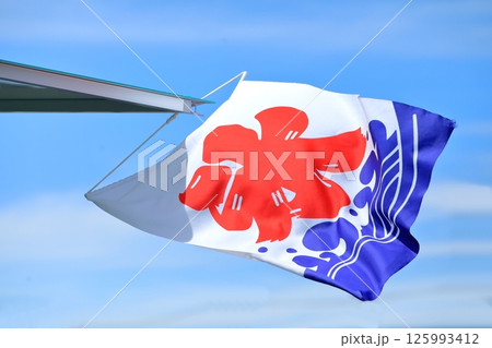 氷旗 イメージ 氷旗 イメージ 125993412