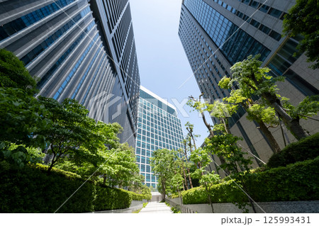 新緑に囲まれたオフィス街の風景 125993431