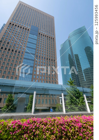 つつじが咲き緑のある高層ビル街の風景 125993456