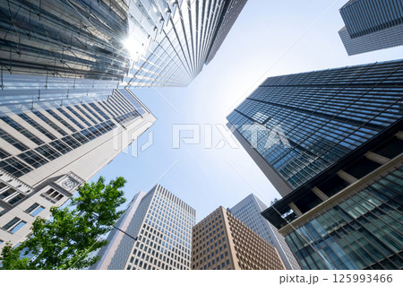 緑のある高層ビル街の風景 125993466