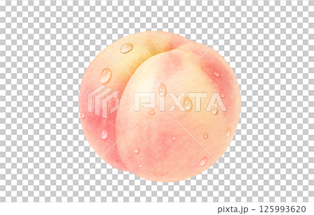 桃子插畫水彩白桃子 125993620
