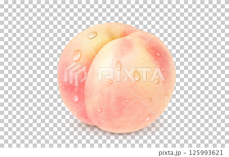 Peach illustration watercolor white peach peach 125993621