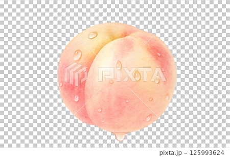 桃子插畫水彩白桃子 125993624