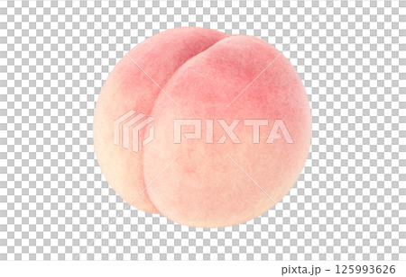 Peach illustration watercolor white peach peach 125993626