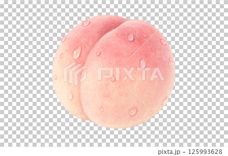 桃子插畫水彩白桃子 125993628