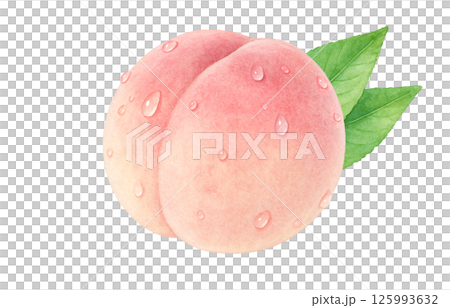 桃子插畫水彩白桃子 125993632