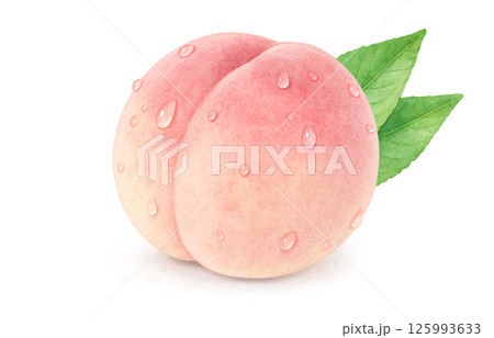 桃 イラスト 水彩 白桃 もも 125993633