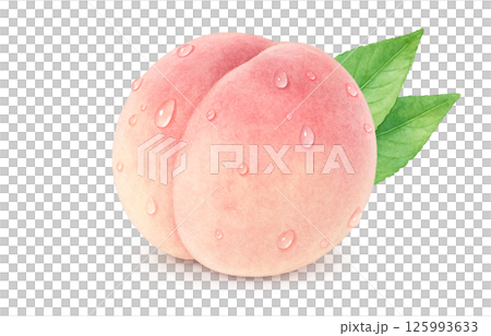 桃子插畫水彩白桃子 125993633
