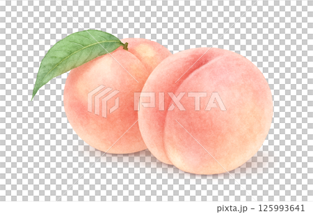 桃子插畫水彩白桃子 125993641