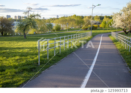 Shot of the trees in the garden blooming with leaves and flowers 125993713