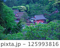 森に潜む日御碕神社　一　2025 125993816