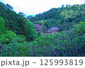 森に潜む日御碕神社　ニ　2025 125993819