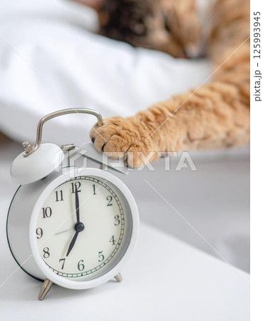 目覚まし時計を止めようとする猫の手と寝起きの朝の風景 125993945