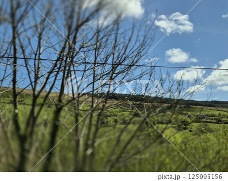 Clouds and Plant Branches Under Sunlight in a Natural Landscape Clouds and Plant Branches Under Sunlight in a Natural Landscape 125995156