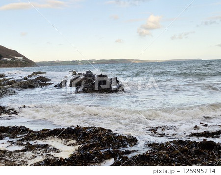 Cloudy Coastal Beach Landscape with Trees and Waves 125995214
