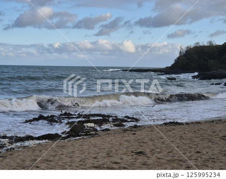 Clouds Over Water at the Beach with Trees and Horizon 125995234