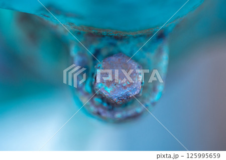 錆びたボルト 125995659