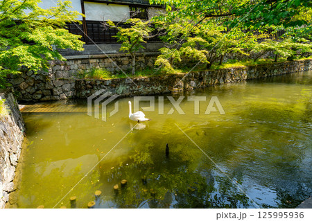2025年 5月 晴天の倉敷美観地区の風景 125995936