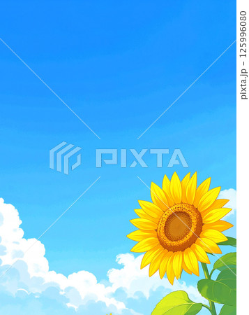 ひまわりと青空 125996080