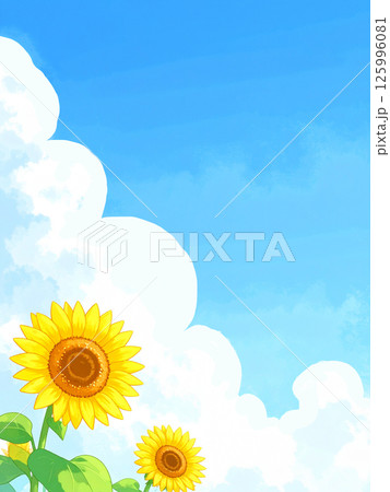 ひまわりと青空 125996081