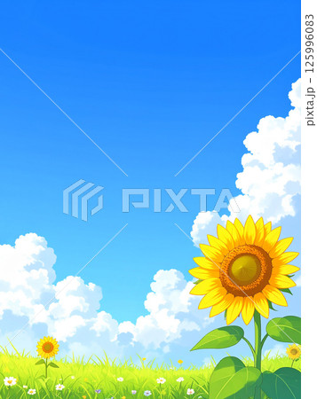 ひまわりと青空 125996083