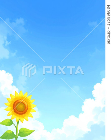 ひまわりと青空 ひまわりと青空 125996084