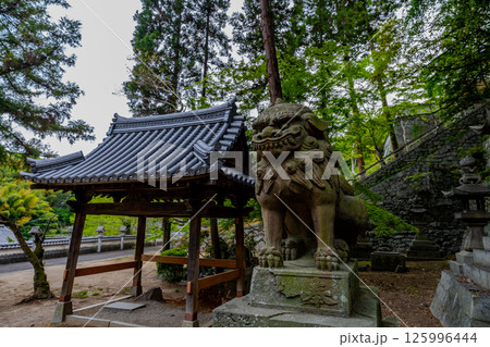 2025年 5月 岡山由加山の風景 125996444
