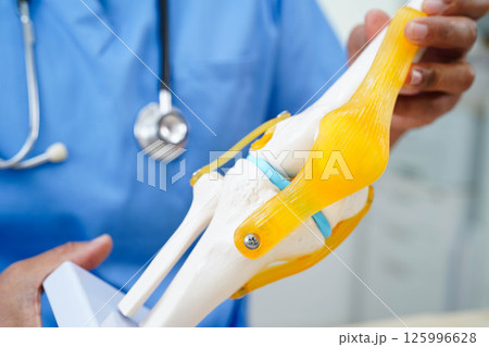 Asian doctor holding spinal nerve and bone model, Lumbar spine displaced herniated disc fragment for treatment medical in the orthopedic department. Asian doctor holding spinal nerve and bone model, Lumbar spine displaced herniated disc fragment for treatment medical in the orthopedic department. 125996628