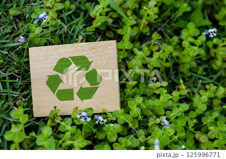 Top view of Recycle symbol on wooden block with customizable space for text. Conservation and a greener tomorrow concept. 125996771