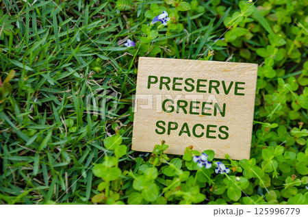 Top view of close up Preserve Green Spaces text on wooden block. For a greener tomorrow concept. 125996779