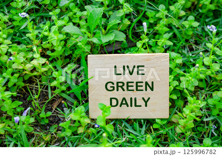 Top view of close up Live Green Daily text on wooden block. For a greener tomorrow concept. 125996782