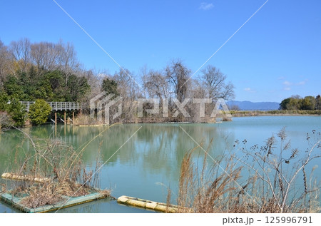 馬見丘陵公園 125996791