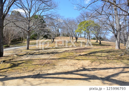 馬見丘陵公園 125996793