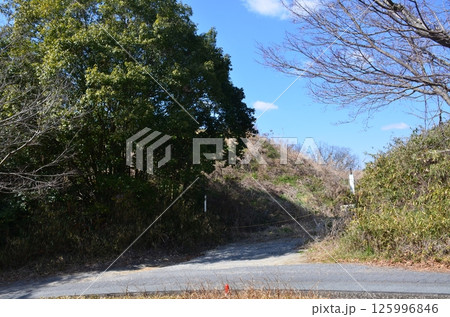 馬見丘陵公園 125996846