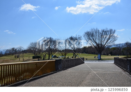 馬見丘陵公園 馬見丘陵公園 125996850