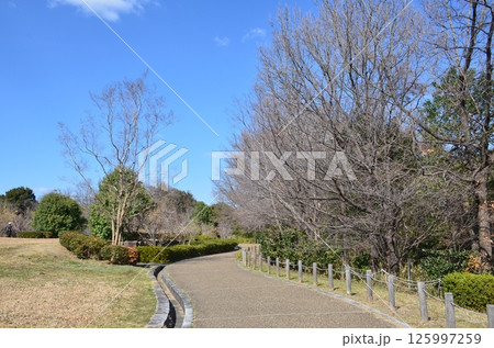 馬見丘陵公園 125997259