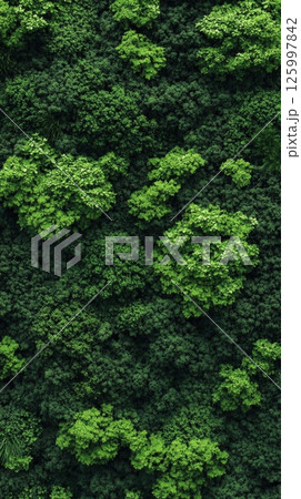Lush Green Vertical Garden Wall: A Symphony of Nature 125997842