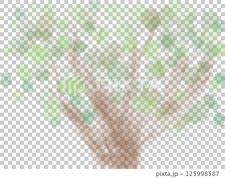 Illustration of soft fresh green leaves and trees painted in watercolor Illustration of soft fresh green leaves and trees painted in watercolor 125998587