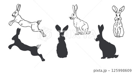 Hare hand drawn black white outline vector set illustration. Forest animal graphic sketch for winter and Christmas design. Rabbit, wild hare silhouette drawing for seasonal packaging, stationery. 125998609