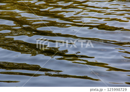 Background of surface of the Dnieper River. River water in autumn in the rays of the setting sun. Green-yellow water. Natural color of river water. Water with small waves. 125998729