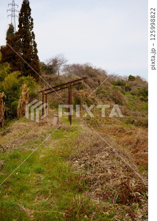 自然に帰りつつある旧三池鉄道玉名支線・大平駅跡 125998822