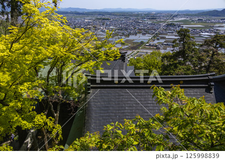 太郎坊宮（阿賀神社） 125998839