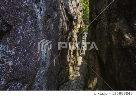 太郎坊宮(阿賀神社) 太郎坊宮(阿賀神社) 125998845