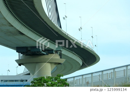 首都高 かつしかハープ橋 首都高 かつしかハープ橋 125999134