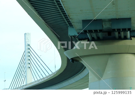 首都高　かつしかハープ橋 125999135