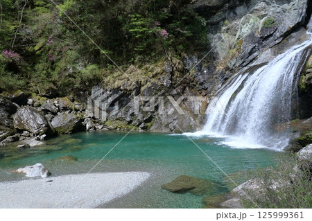 アメガエリの滝　滝つぼの美景　（高知県　土佐町　瀬戸川渓谷） 125999361