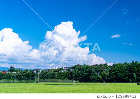 【夏素材】夏の田園風景と入道雲【長野県】 【夏素材】夏の田園風景と入道雲【長野県】 125999412